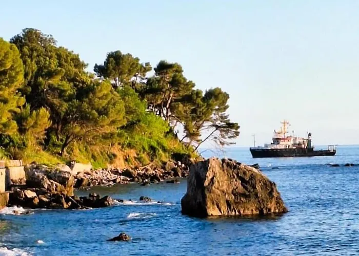 Tremetrisopraalmare بيت للعطل