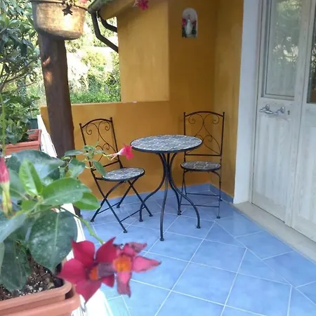 Tremetrisopraalmare