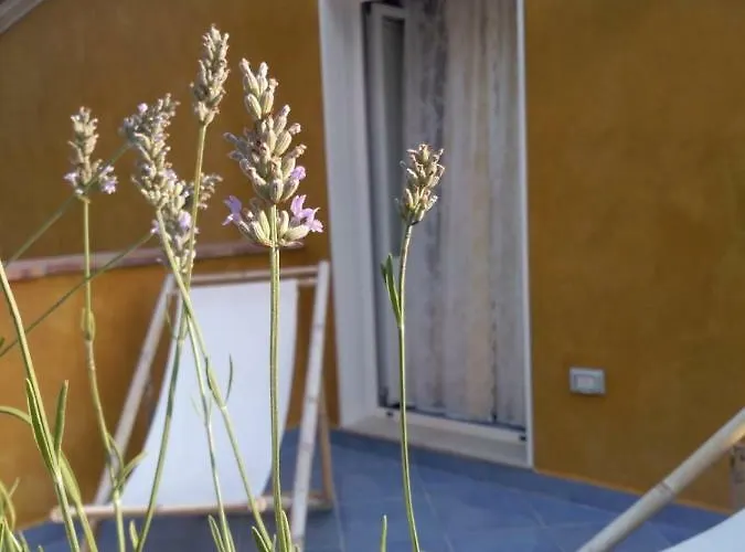 Holiday home Tremetrisopraalmare Maratea